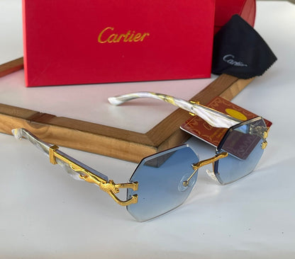 CARTIER SUNGLASSES ARTICLE -28